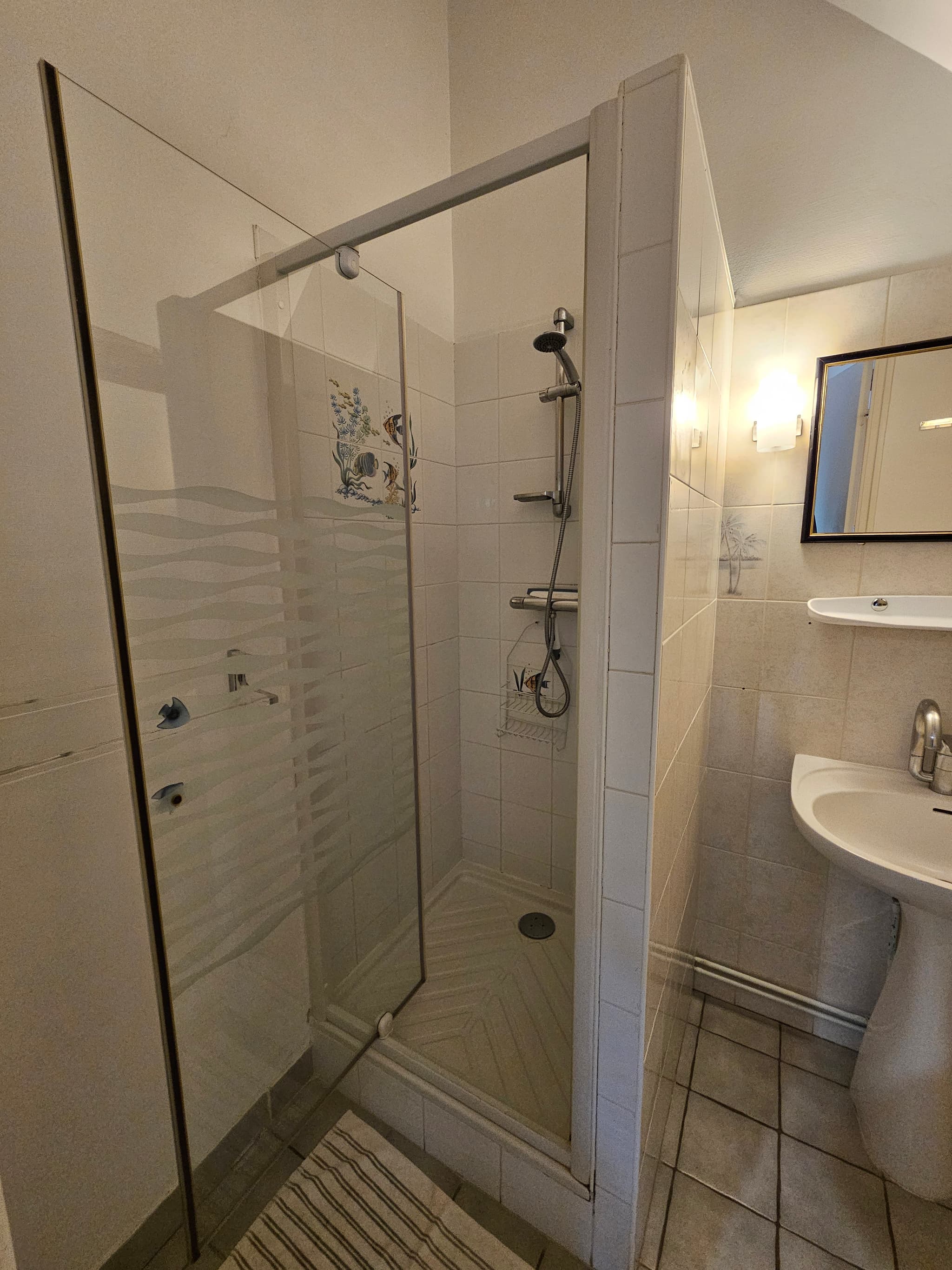 Douche Chambre hirondelle - La Lionnière