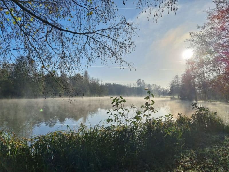 ETANG-COMMUNAL-NOV-2025--Mairie