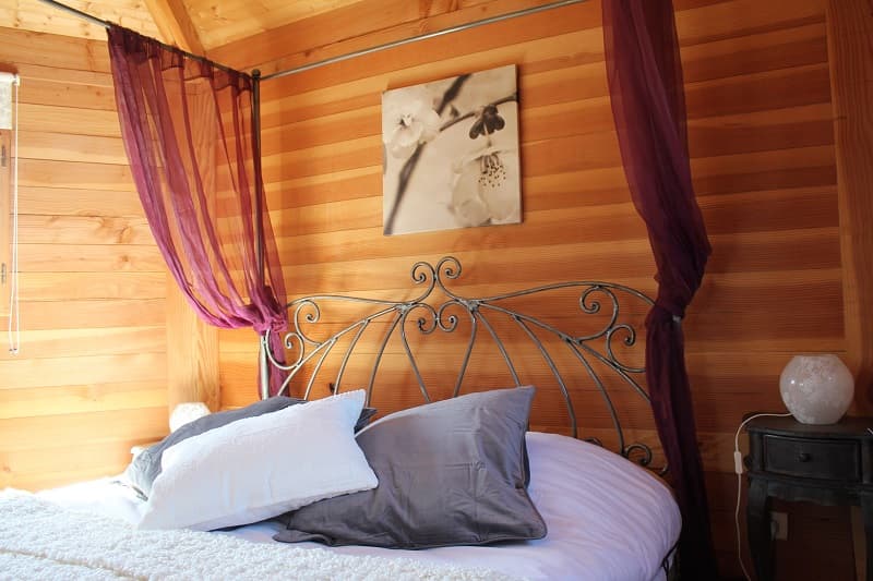 Ecureuil_cabane_arbres_01_MD