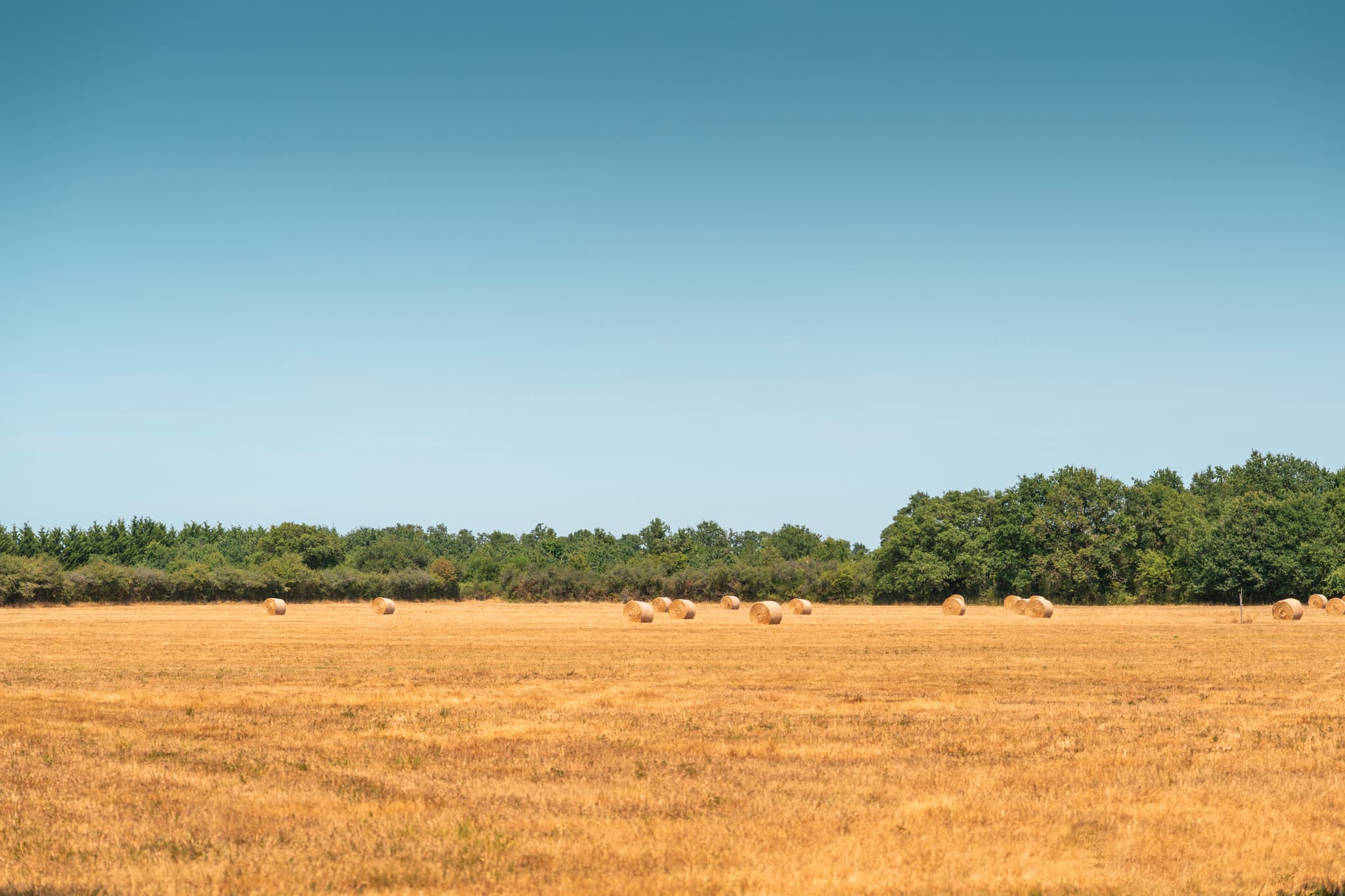 Espace Naturel Sensible des Rouchoux 22.07.26. - ©Marat Anaev-15