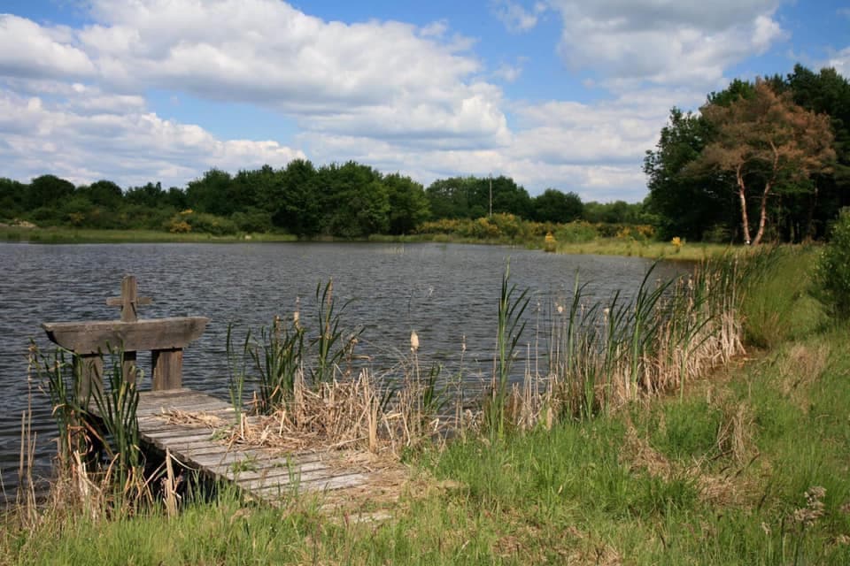Etang pour pecher