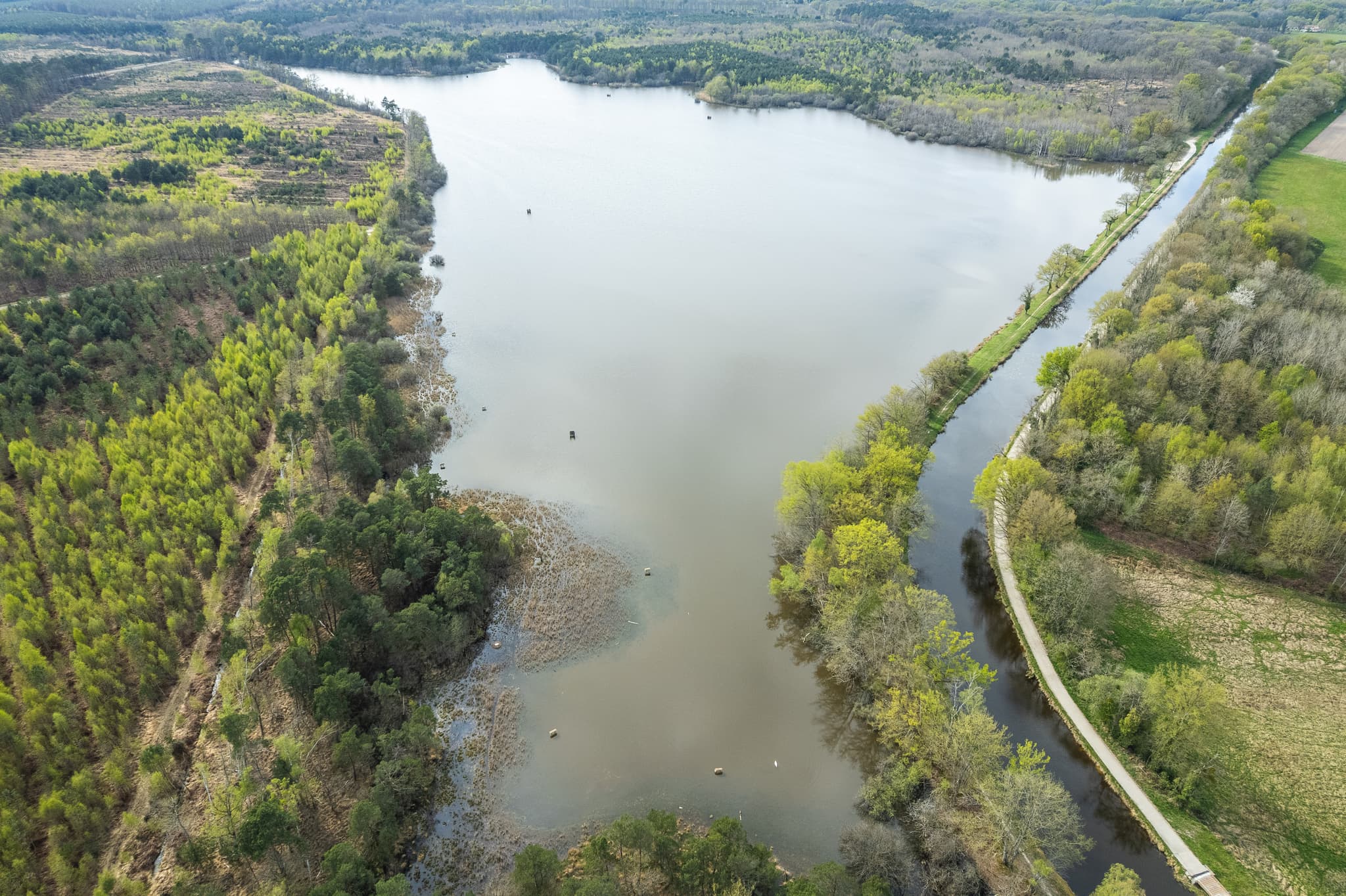 Etang de la Noue Mazone 2025 ©Hachem El Yamani (1)