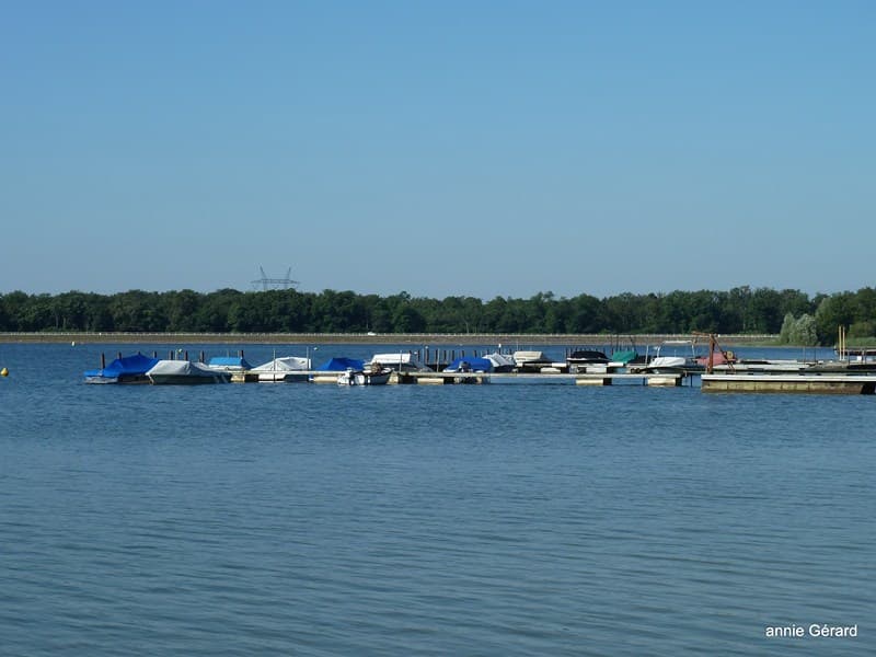 Etang du puits 03