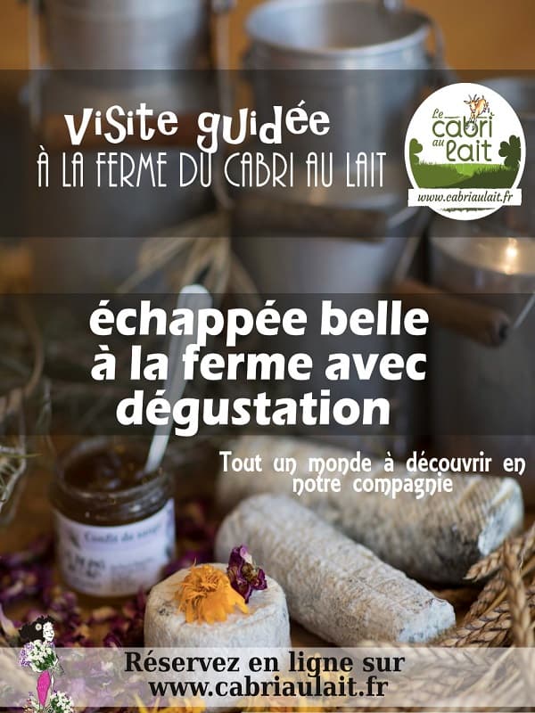 FLYER VISITE GUIDEE ETE 2023 petite