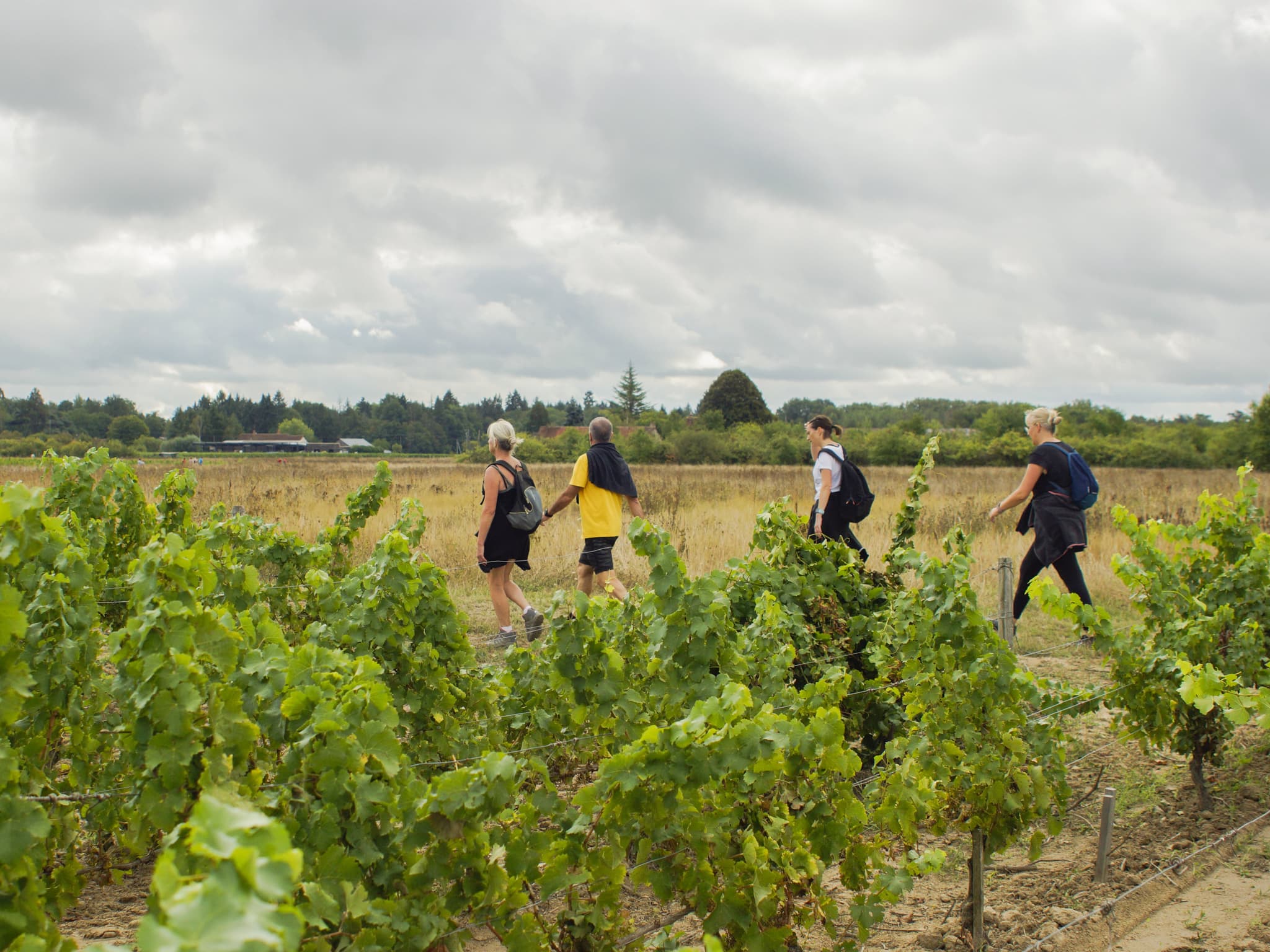 Fête des Vendanges 2022 ©Cécile Marino - 19