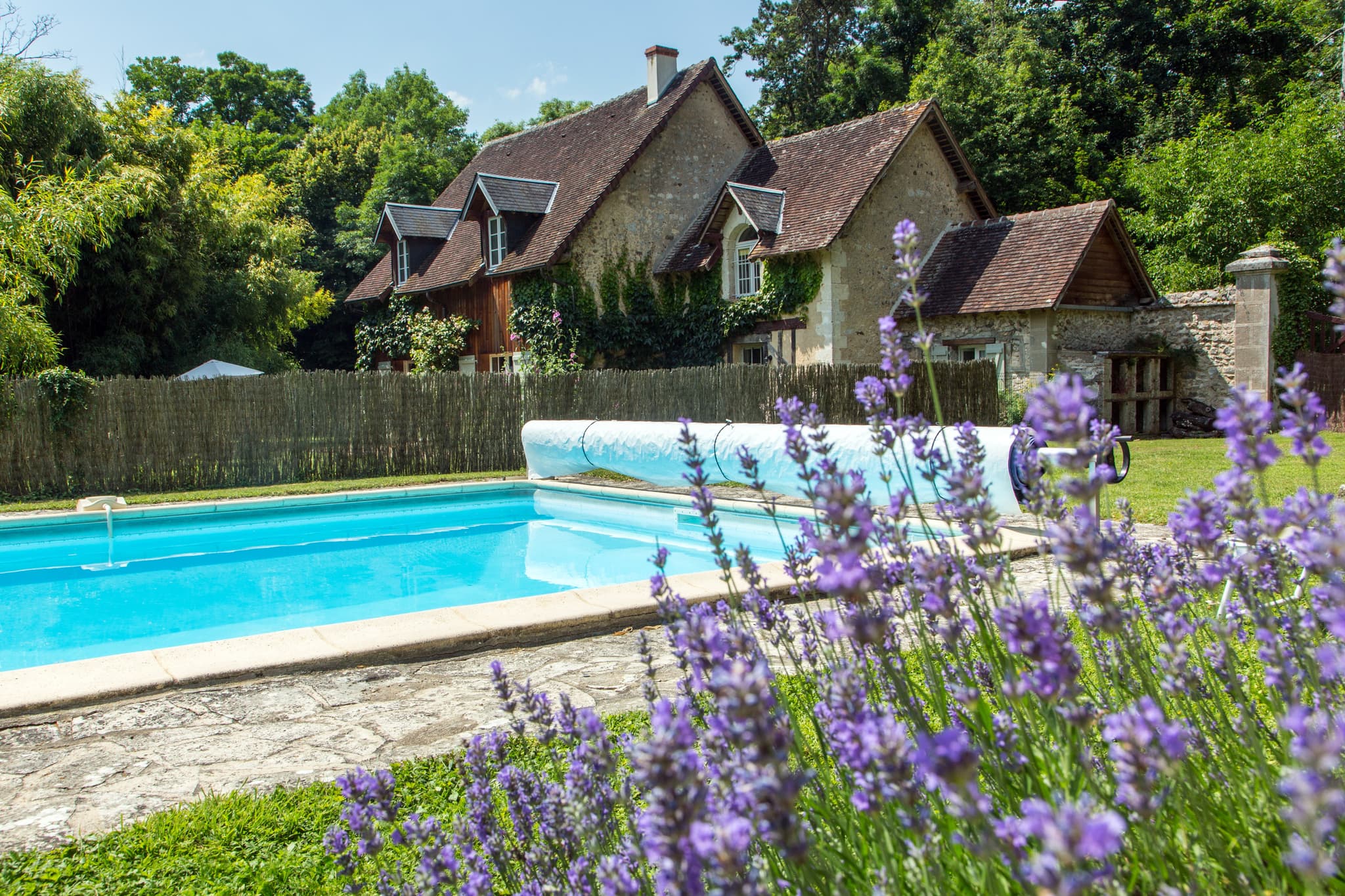 HLOCEN0280010546_9