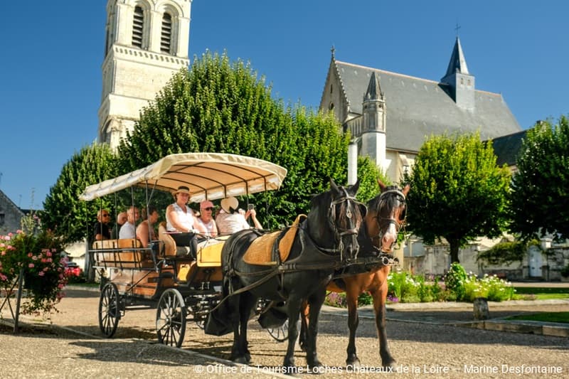 Haras Muralis-caleche-beaulieu-loches-valdeloire