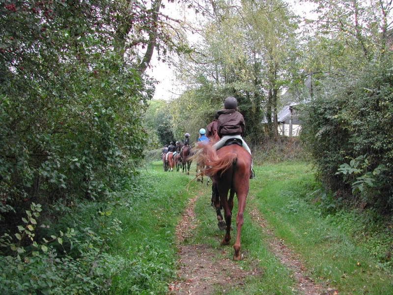 Haras des Courtillets Montipouret