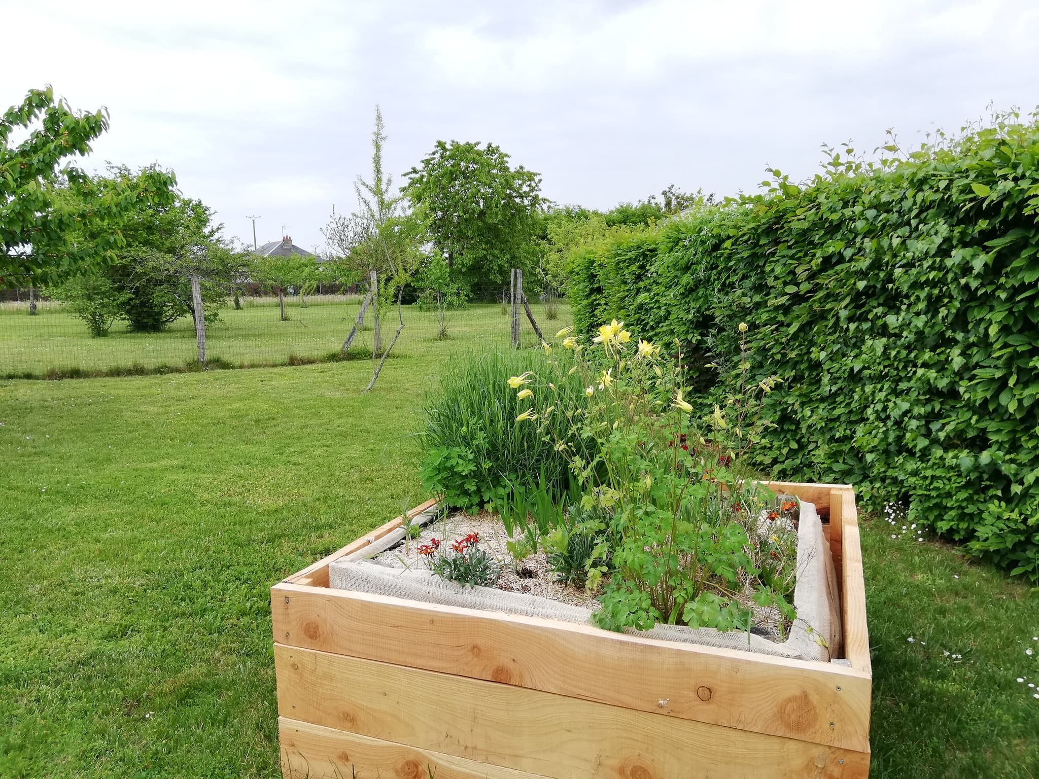 Harmonies jardin verger