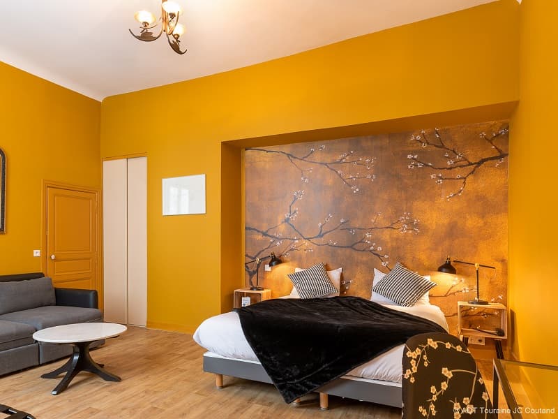 Hôtel du Cygne - Tours