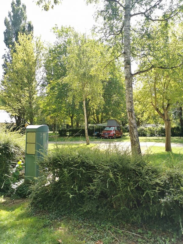 IMG-20220706-115907