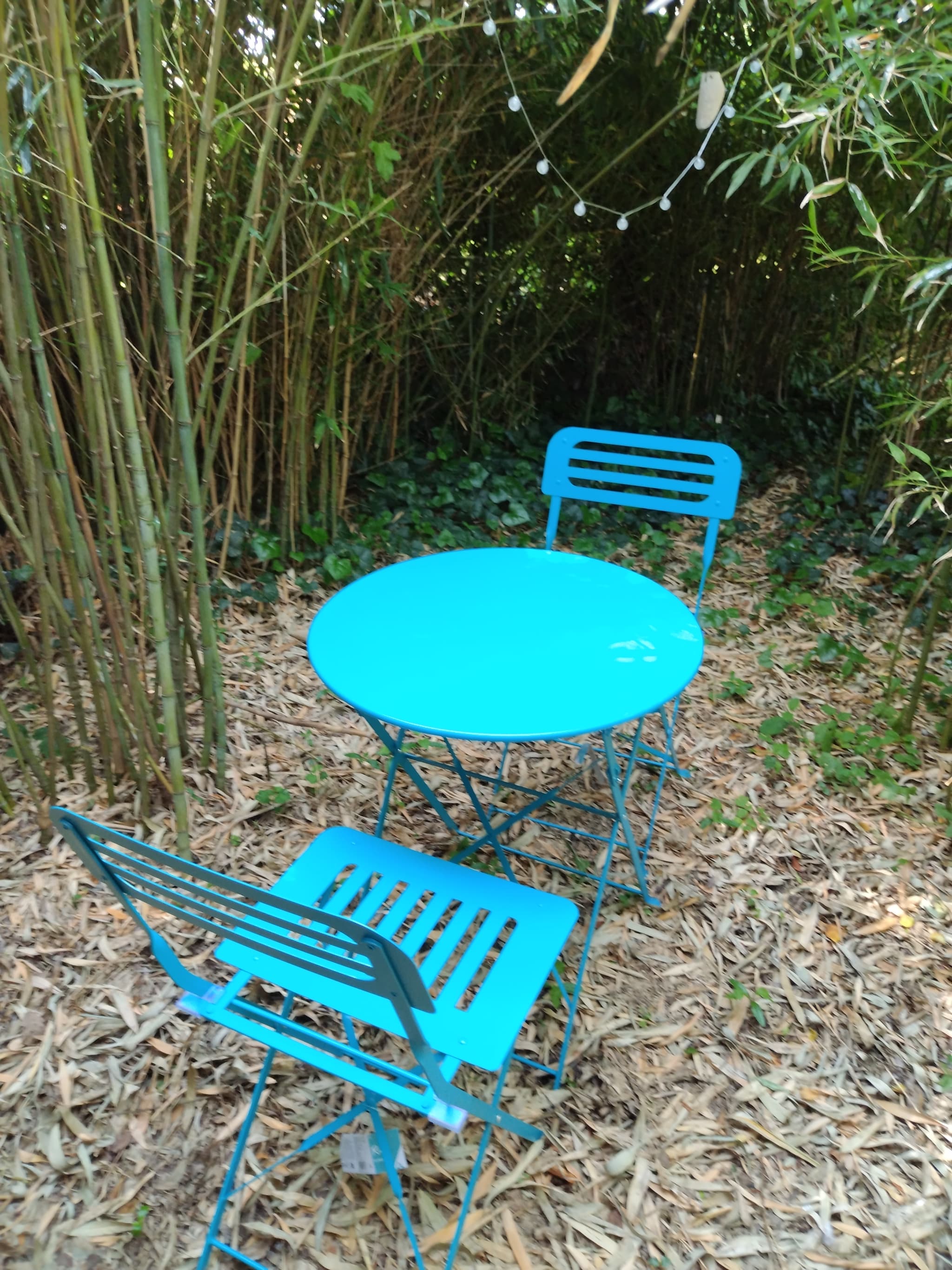 Jardin partagé