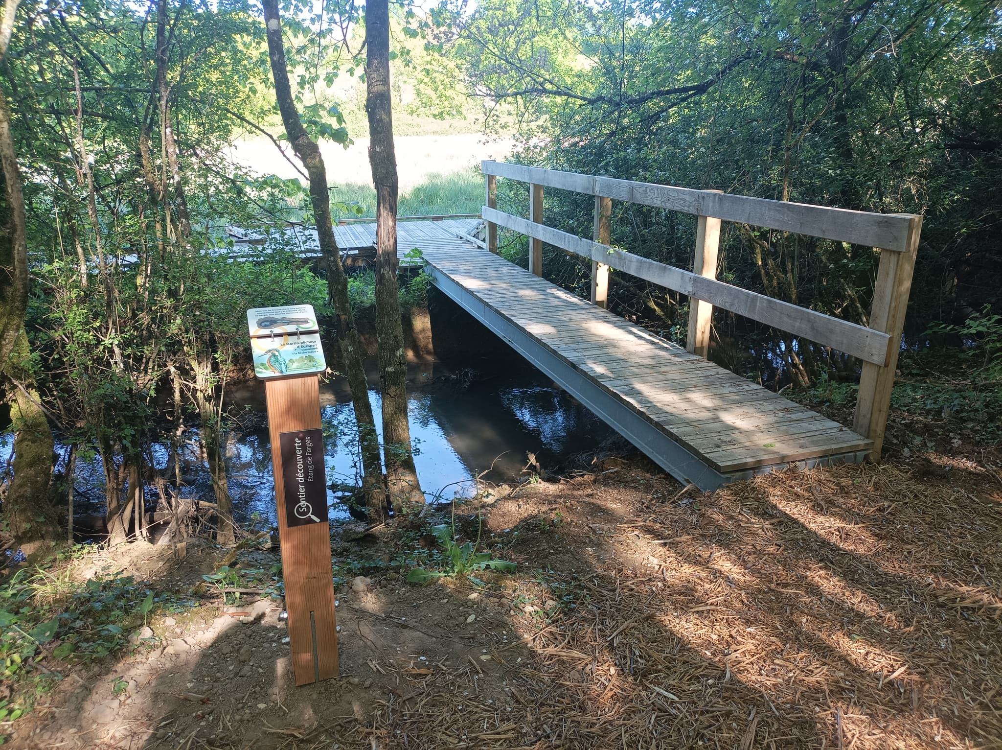 Etang de Farges
