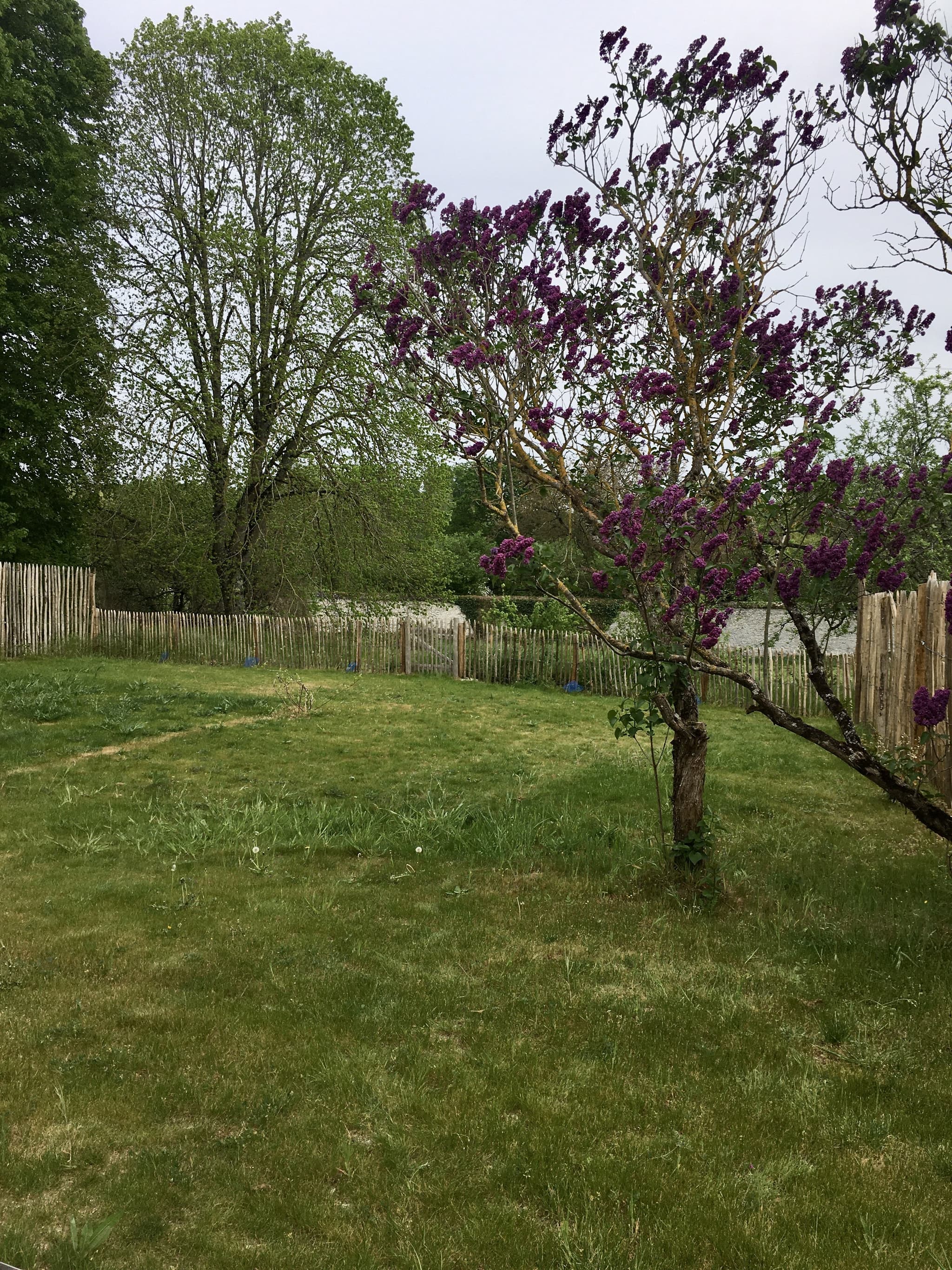 le jardin privatif et clos