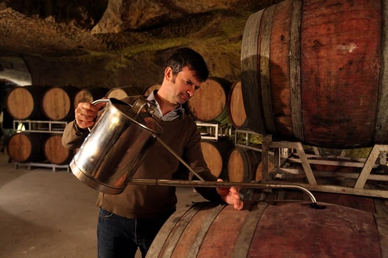 Cave Plouzeau - Chinon