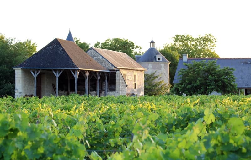 Château de la Bonnelière - Plouzeau