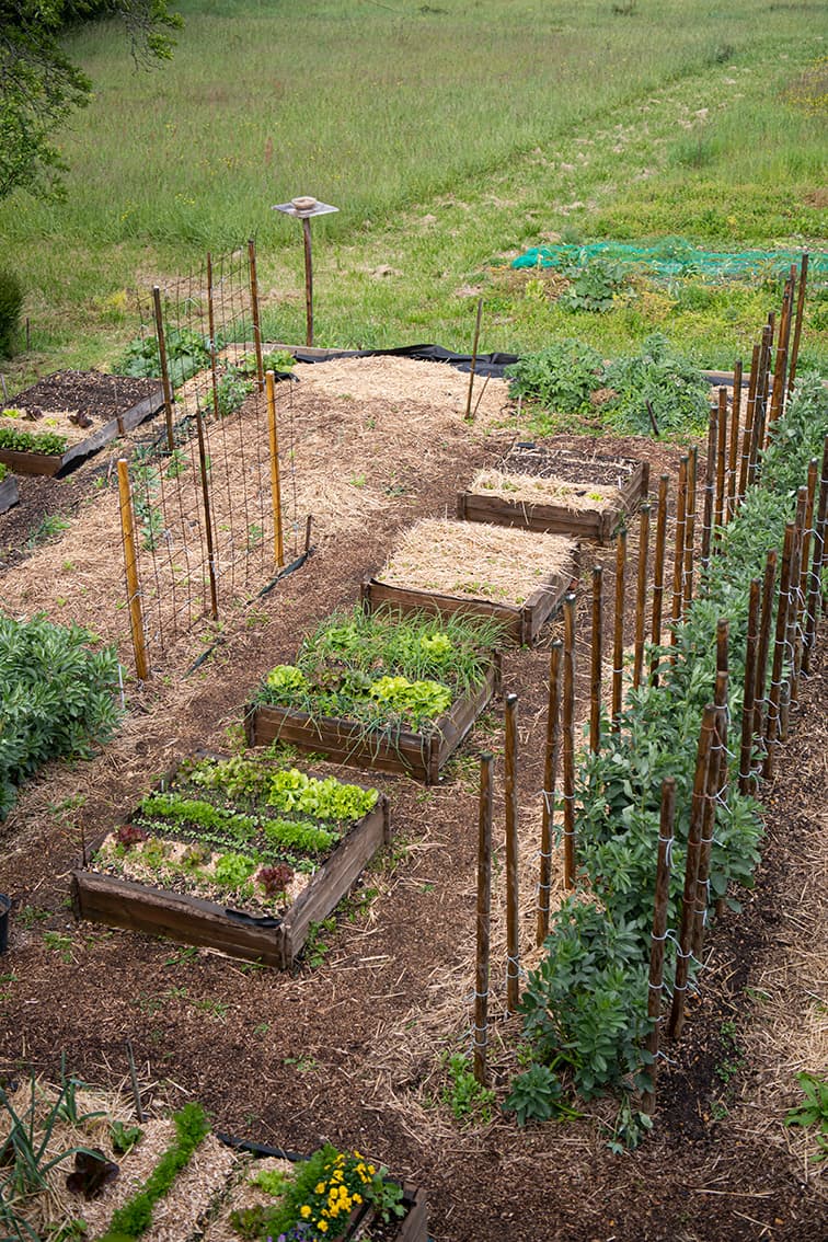 Potager-3-Chemins-St-Aignan-Vallee-du-Cher-Loir-et-Cher