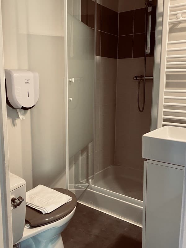 Salle de bain à l'hôtel le cheval blanc à Jargeau