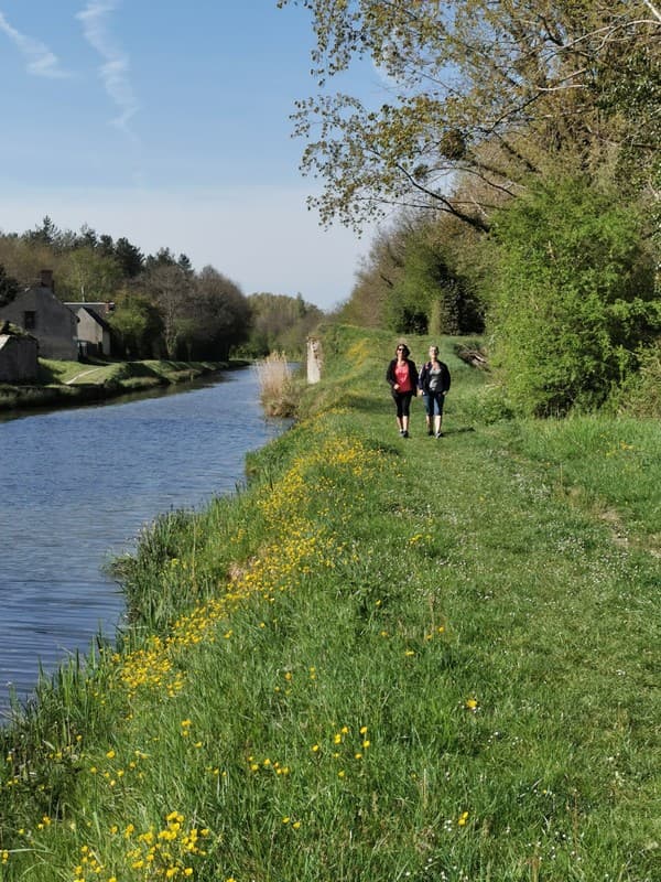 Canal d'Orléans à Combreux