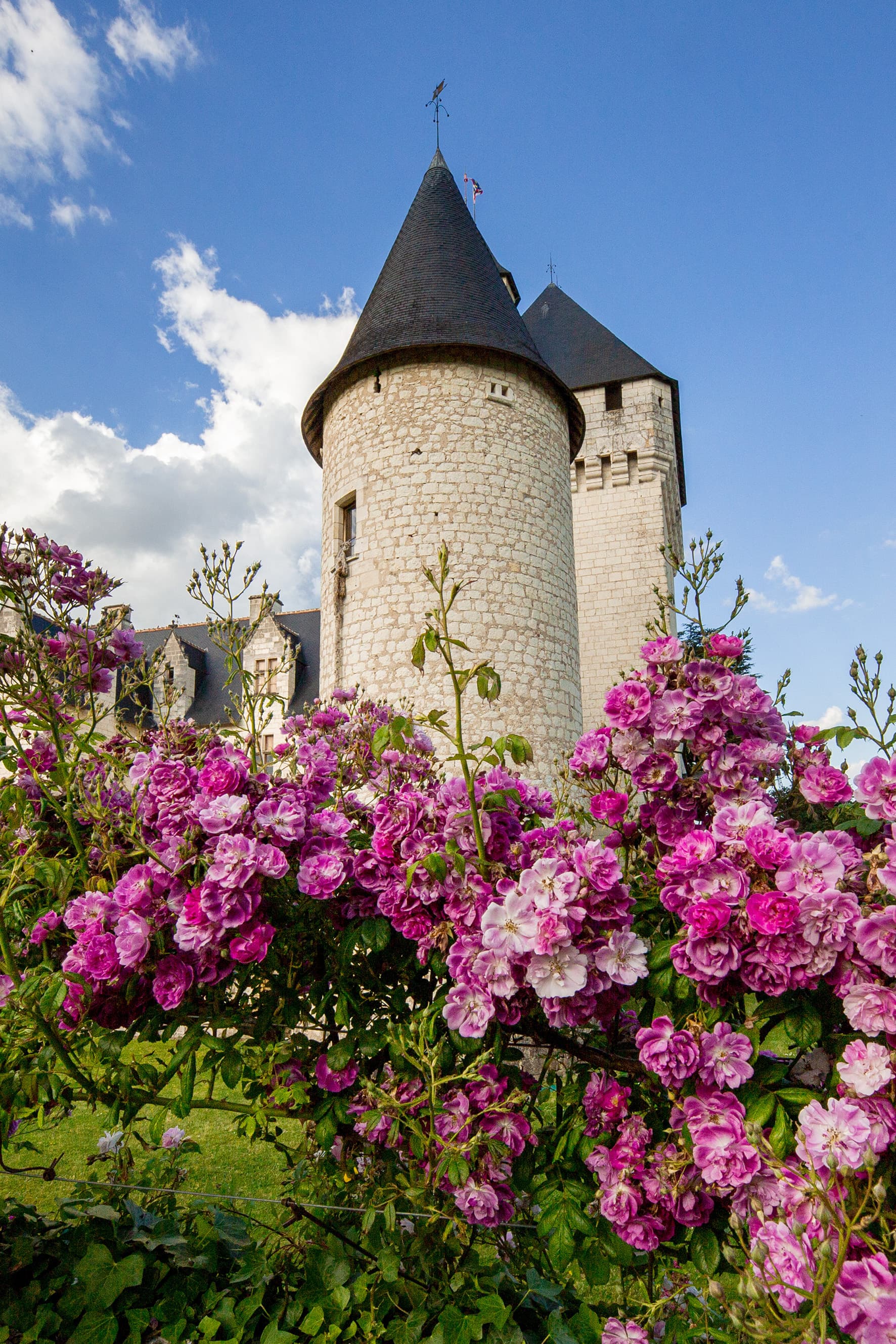 Le Rivau ©Patricia atricia Laigneau -1409-1