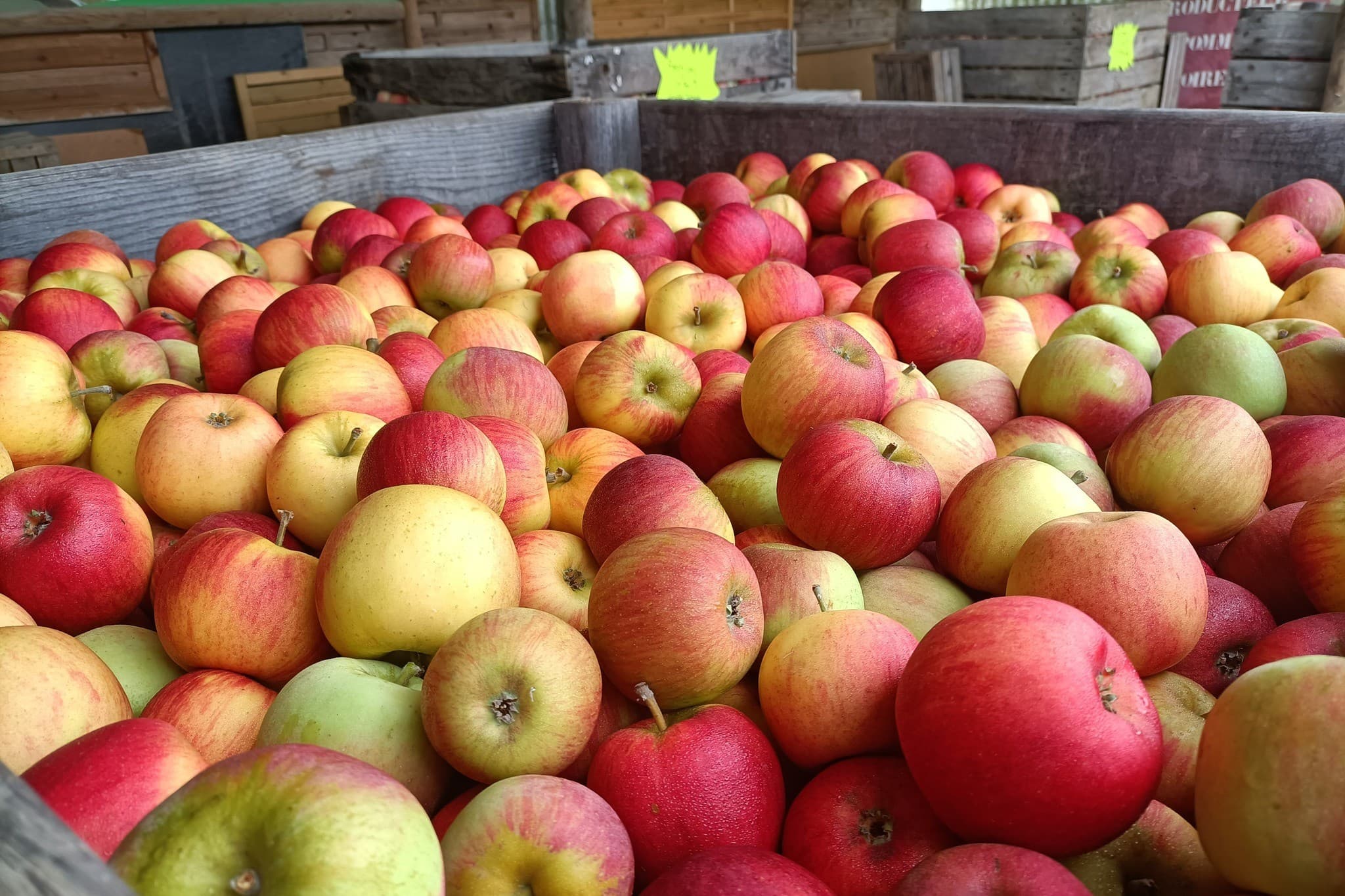 Les Pommes