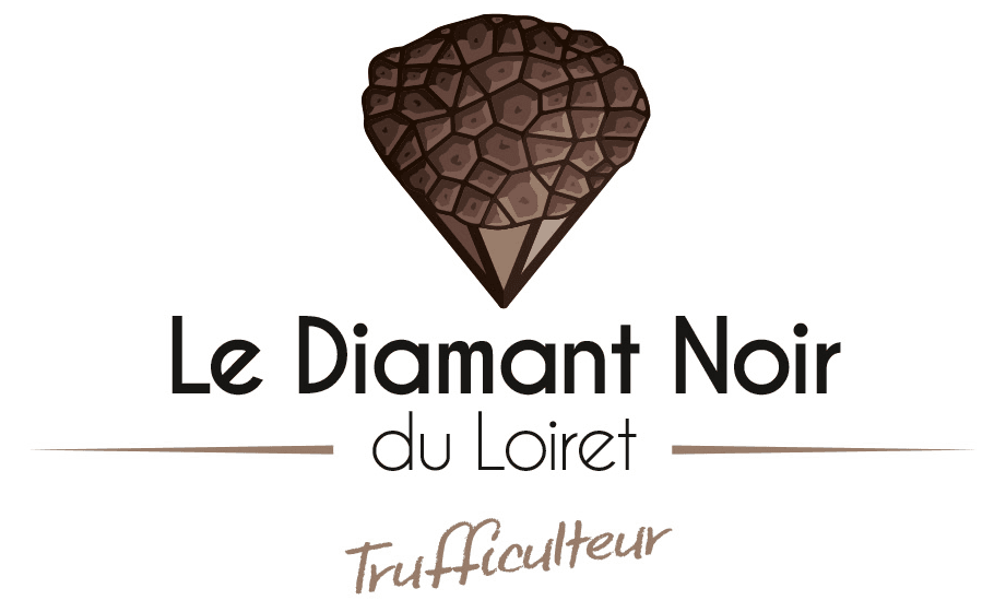 Logo Le Diamant noir du Loiret