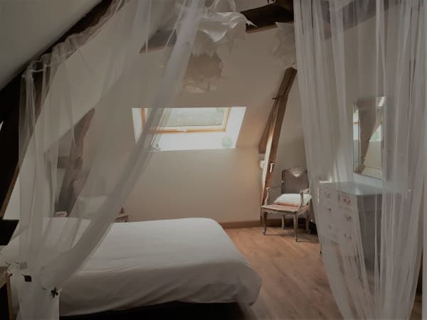 Meuble-de-tourisme-Aubigny-sur-Nere-Le-Buisson-de-la-Gariole-Chambre