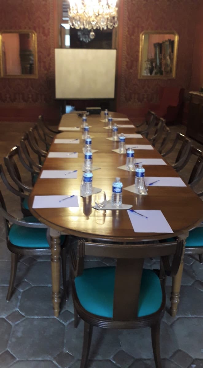 NOYANT DE TOURAINE- CHATEAU DE BROU-REUNION GRAND SALON CHATEAU