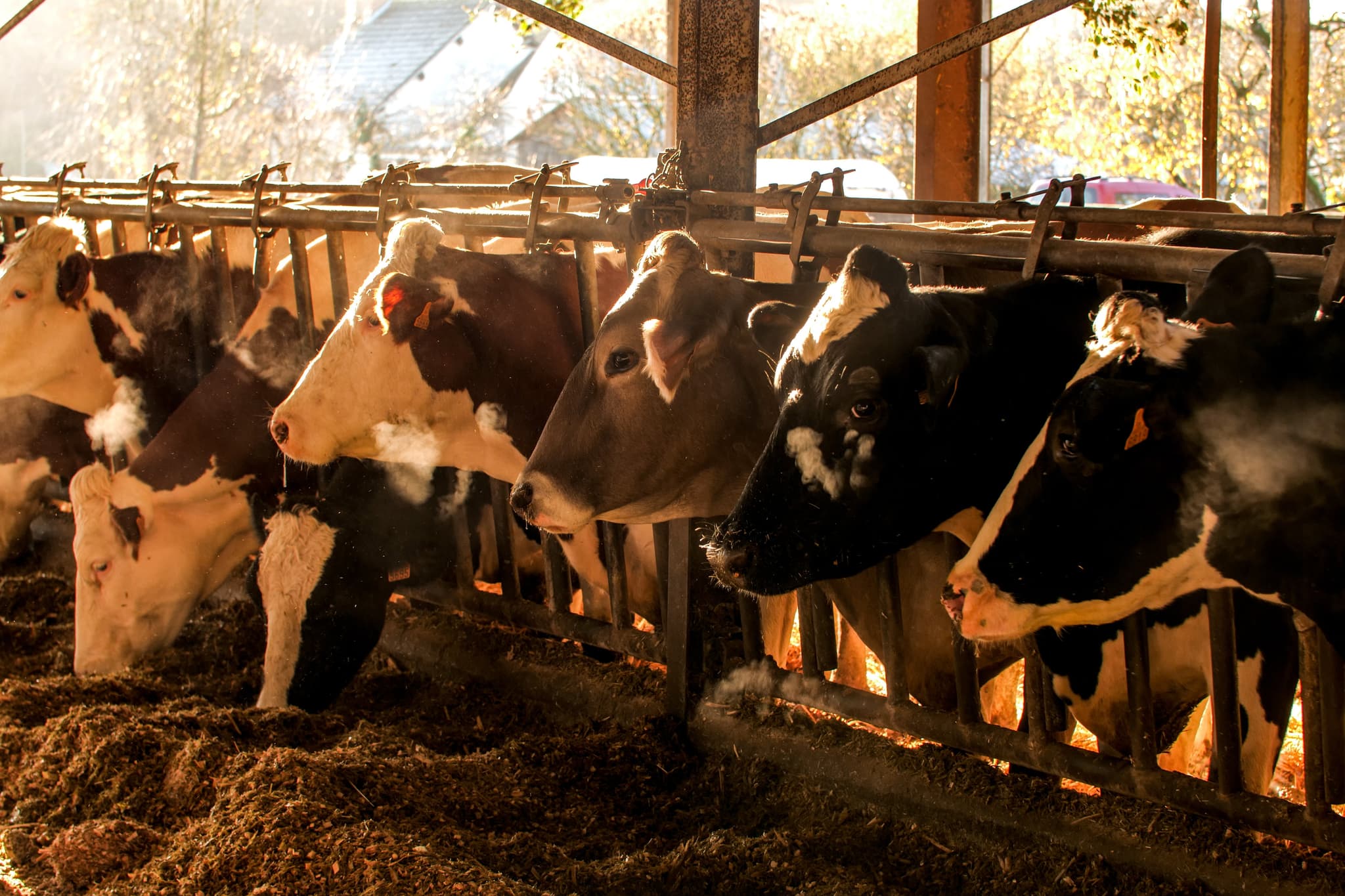 ferme de la billoterie
