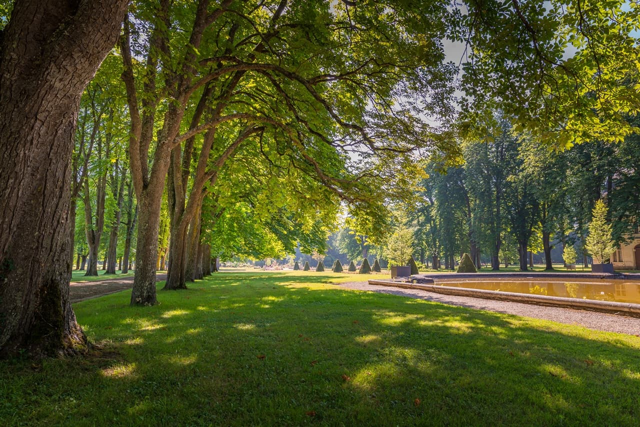 Parc de Richelieu - France