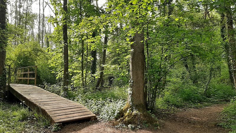 ENS des Courtils des Mauves - Meung-sur-Loire - MPaleau Tourisme Loiret (7)