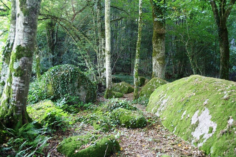 Parc des Parelles à Crevant PCUCEN0360070033 - 1