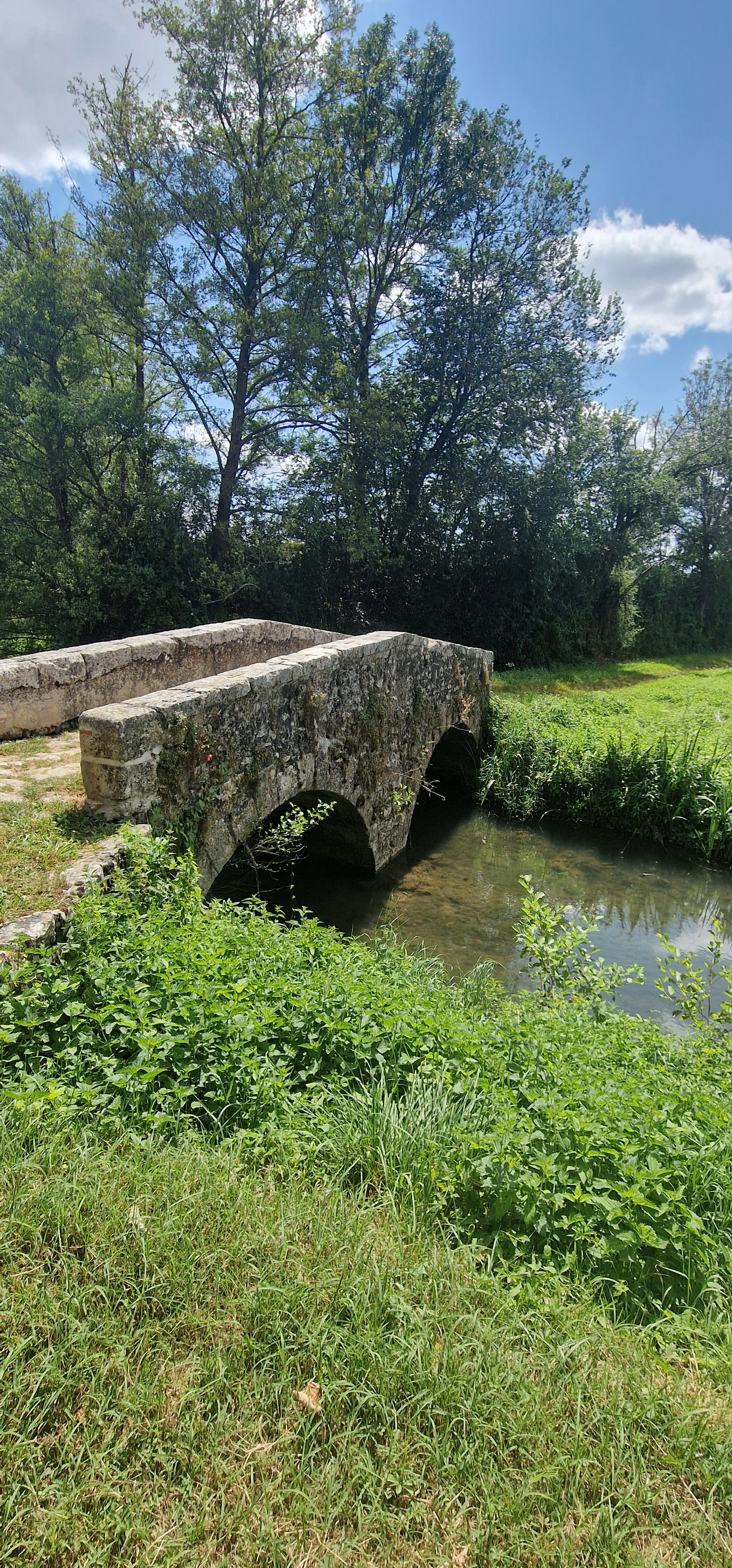 Bonny sur Loire - Pont aux soeurs 2