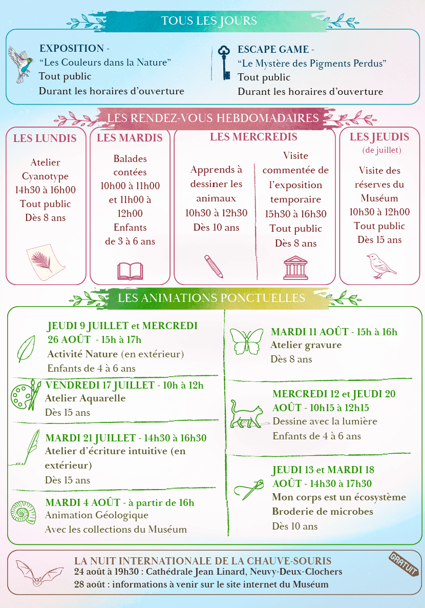 Programme Muséum