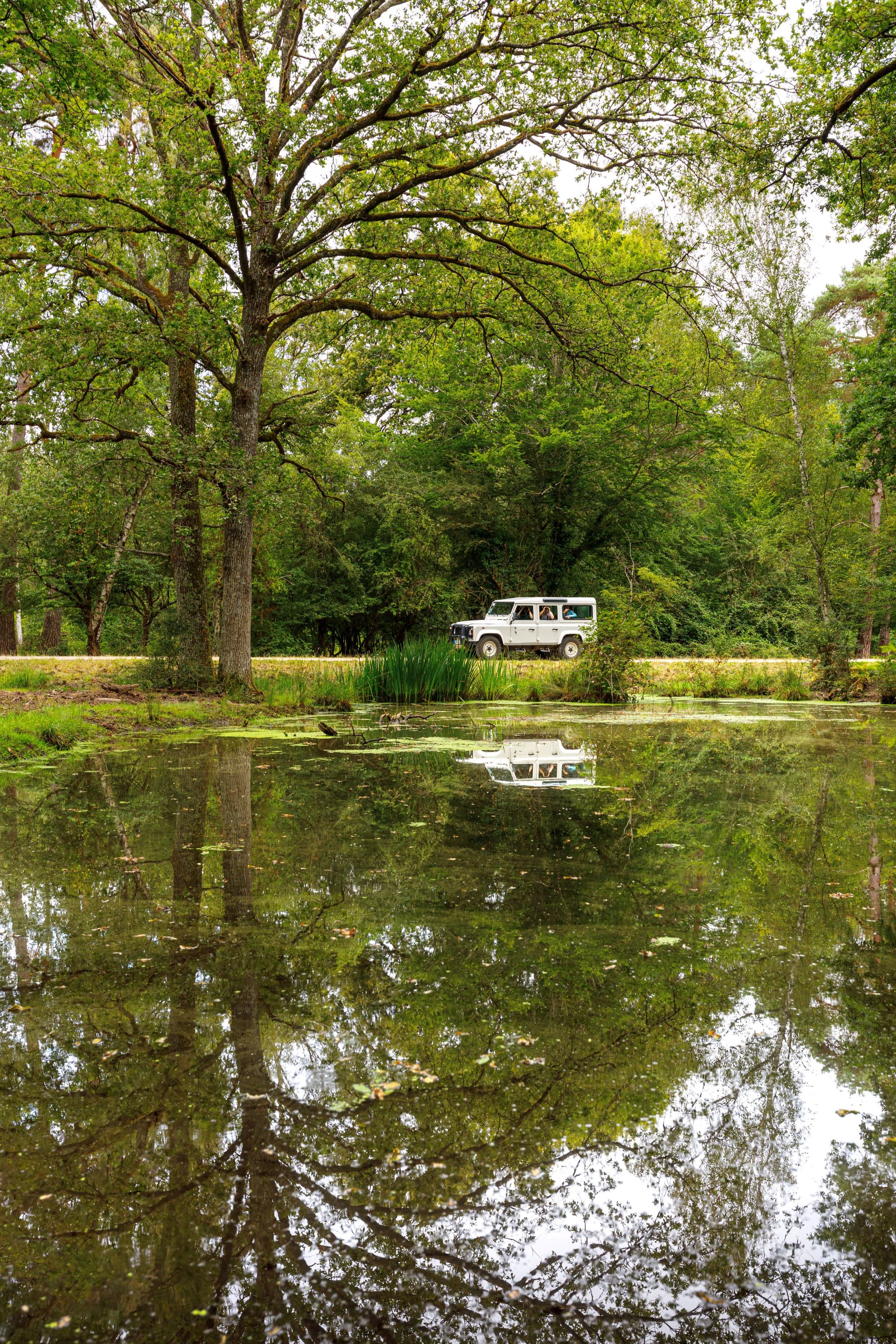 Visite reserve chambord © Leonard de Serres