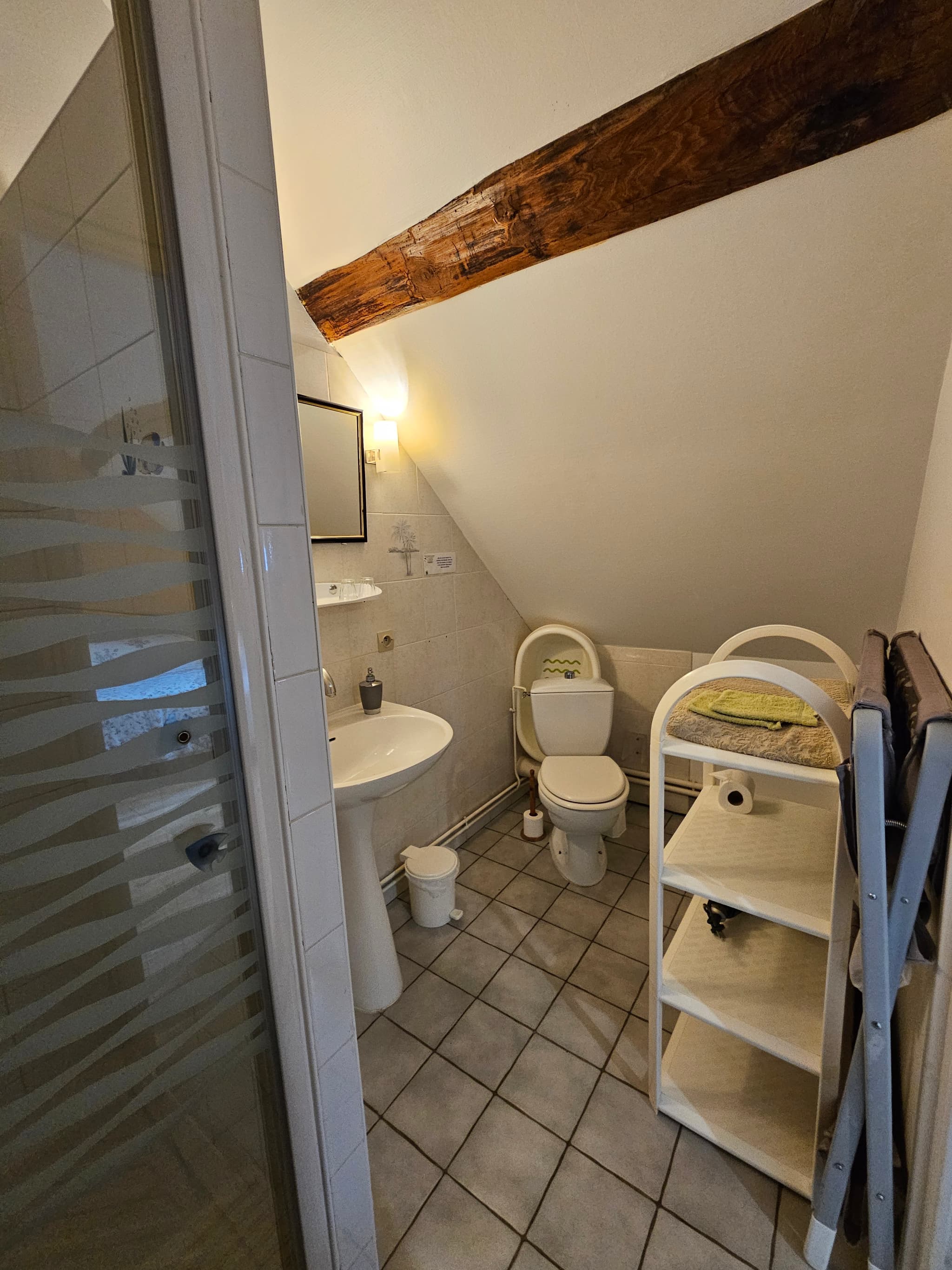 Salle de bain 2 Chambre hirondelle - La Lionnière