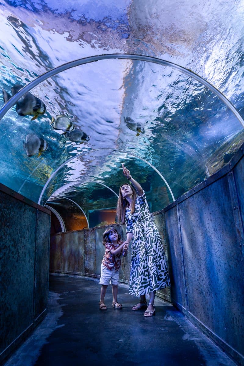 Aquarium_Touraine