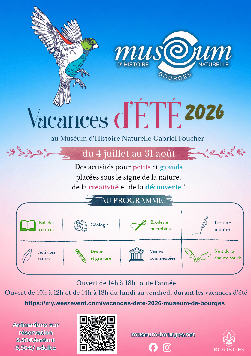 Vacances d'été au Muséum