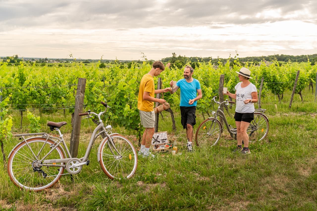 Vélo Vallée - Loueur et réparateur de vélos à Langeais