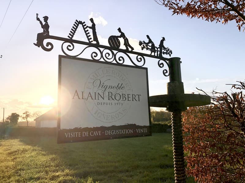 Vignoble_Alain_Robert_Chançay
