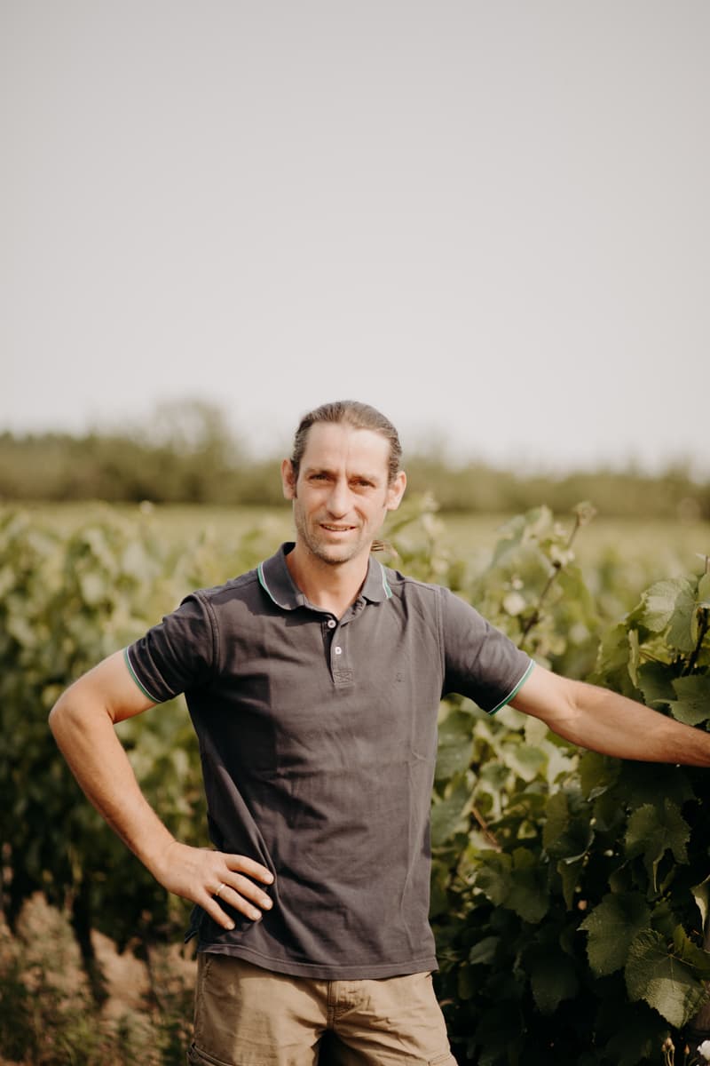 Vignoble du Chant d'Oiseaux
