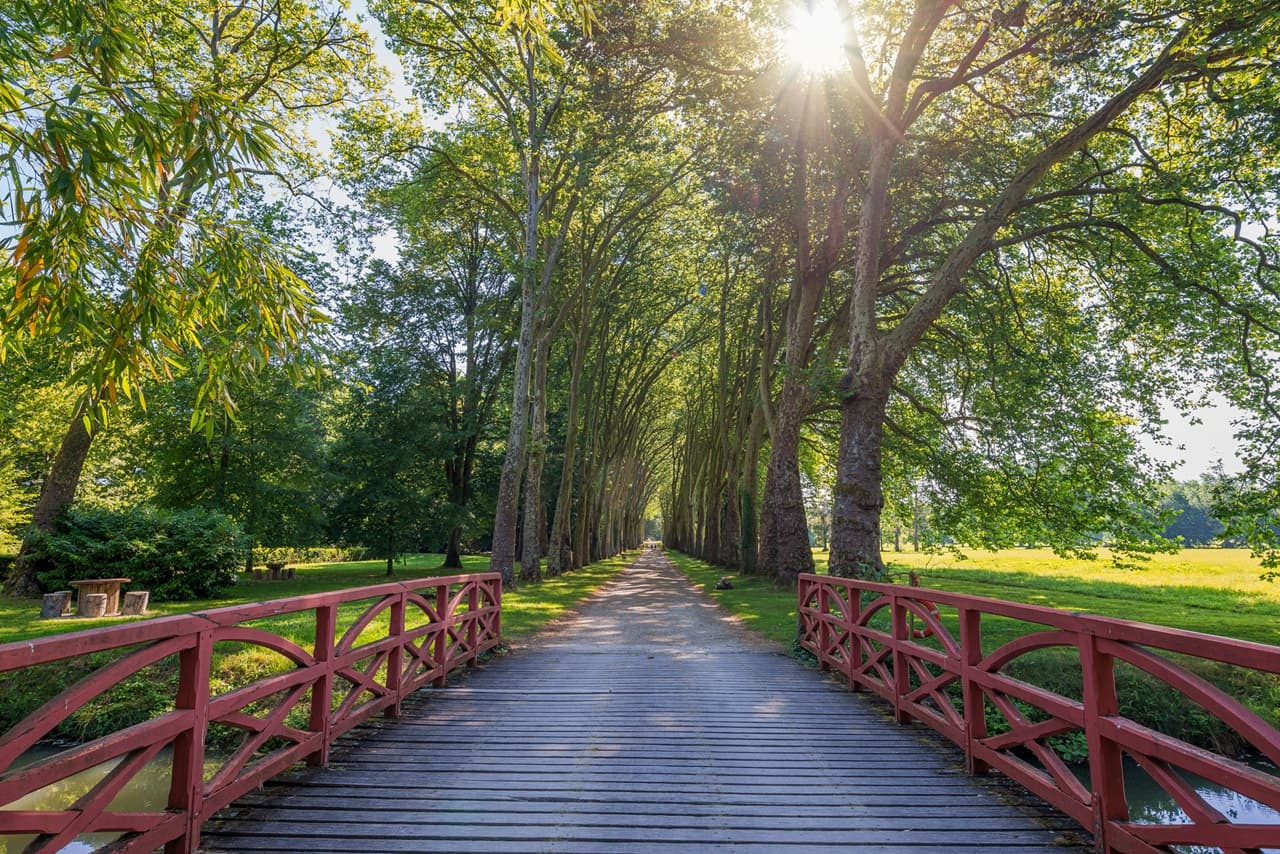 Parc de Richelieu - France