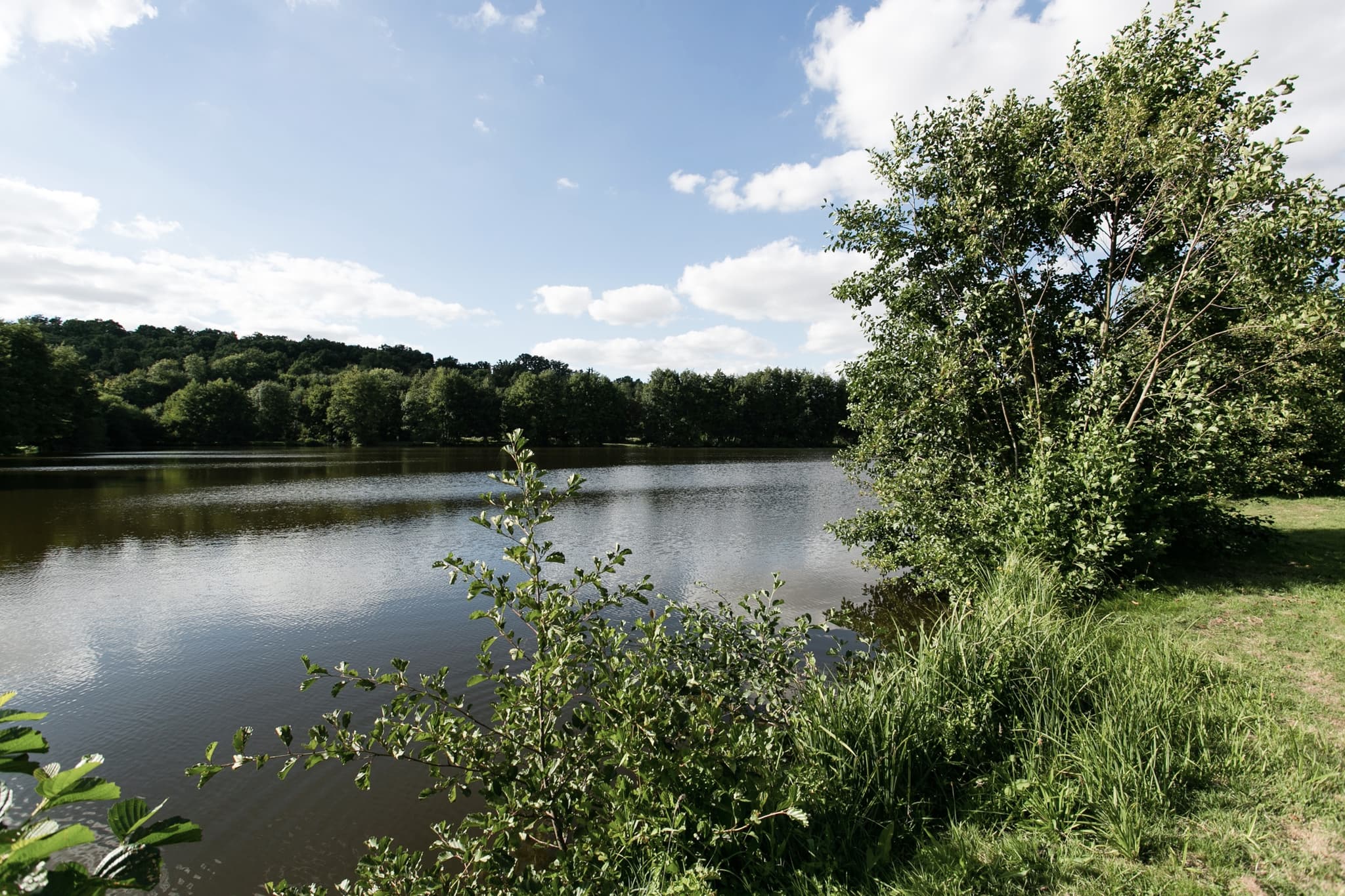 Ville_Territoire_Berou_la_Mulotiere-010