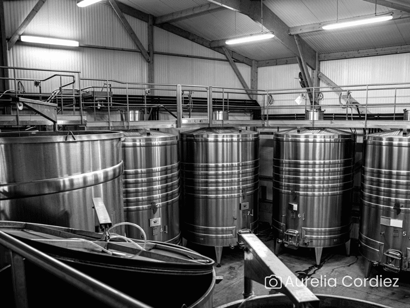 Visite du domaine