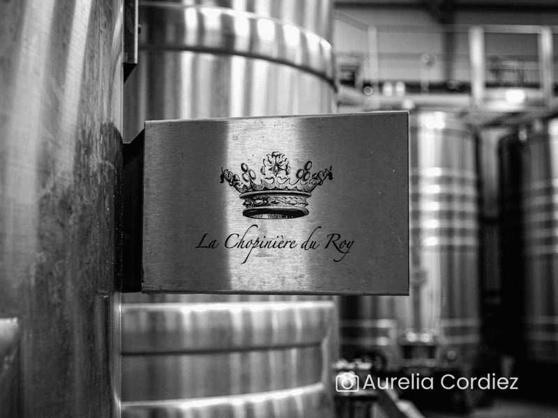 Visite du domaine