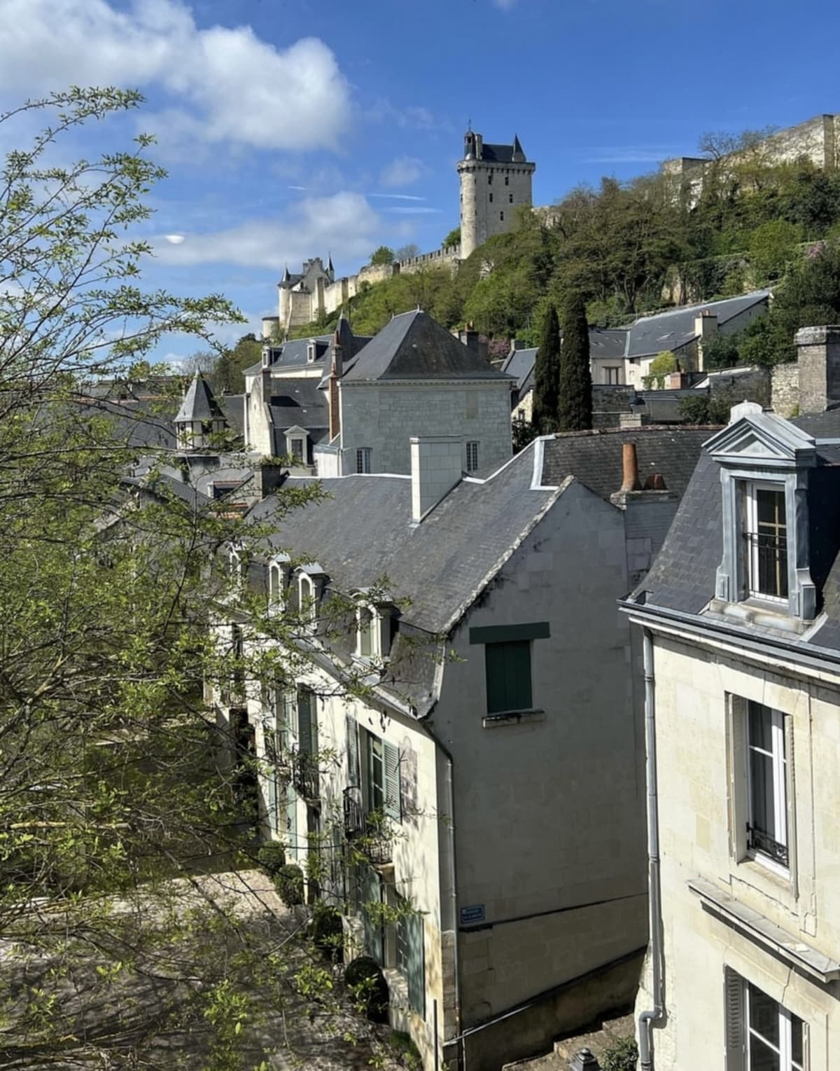 CHINON-Best western - Salle PDJ 6Vue forteresse