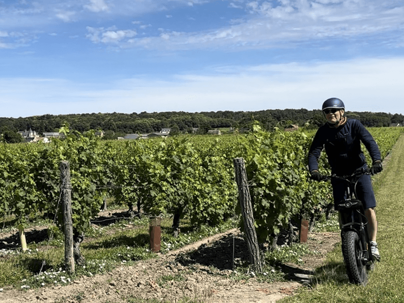 balade dans le vignoble