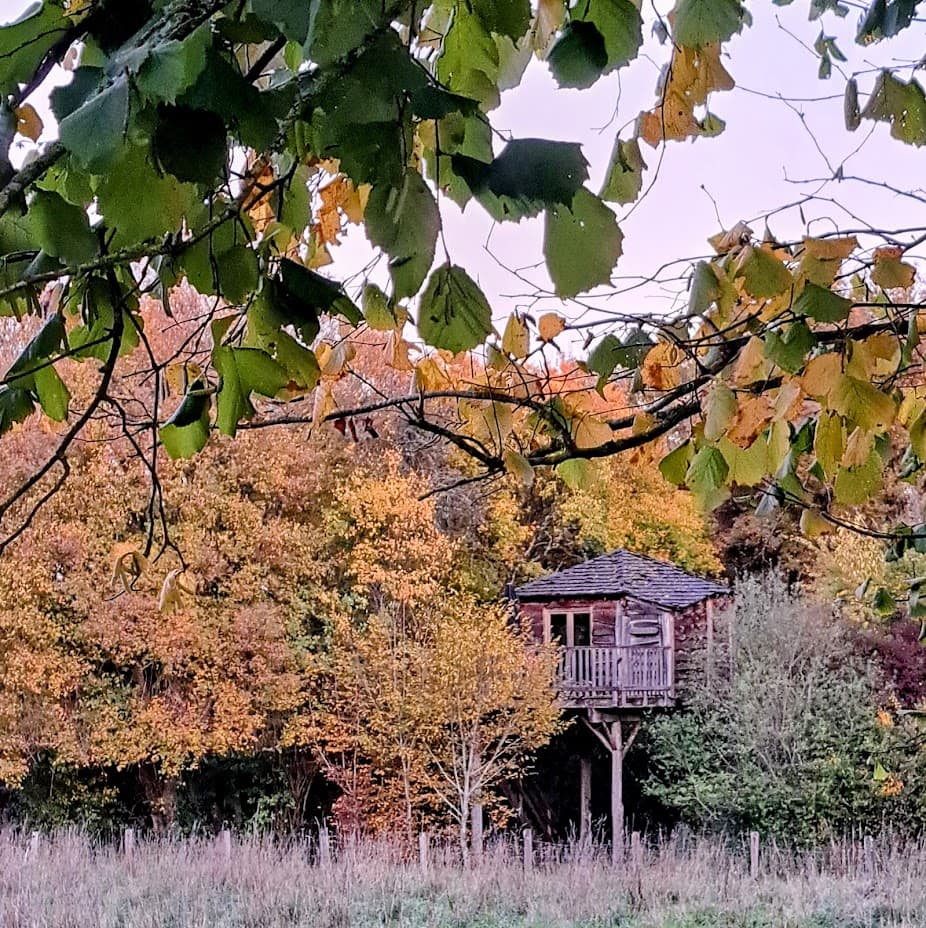 cabane-perchee-3-chouettes-automne