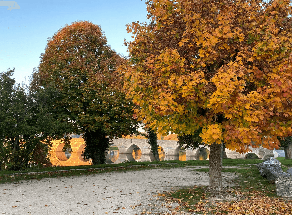 Balade sur les bords du Cher avec les couleurs d'automne
