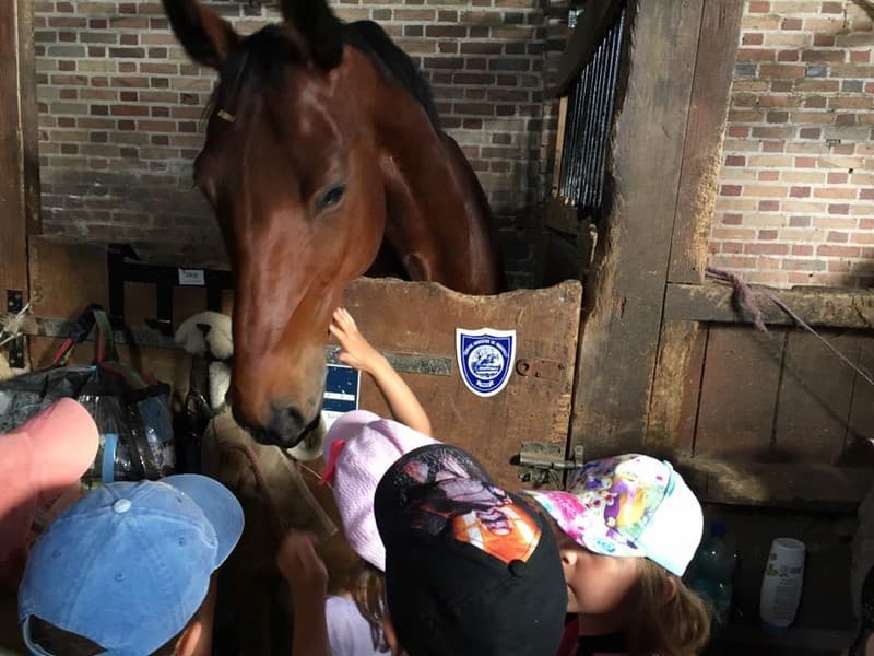 centres-equestres-la-ferte-saint-aubin-poney-club-de-vinauger-groupe2